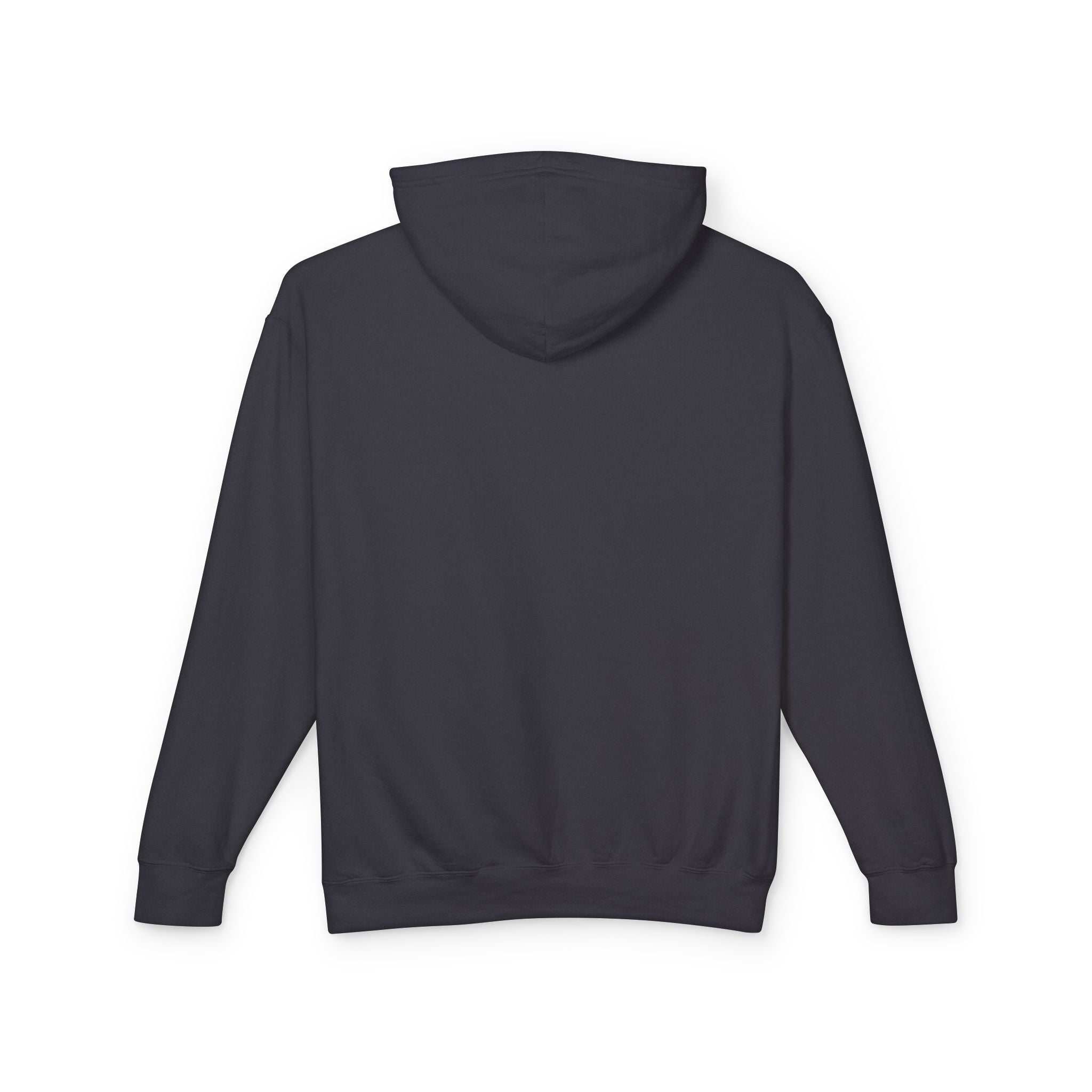 Military Institute of South Carolina Recognition Day Hoodie