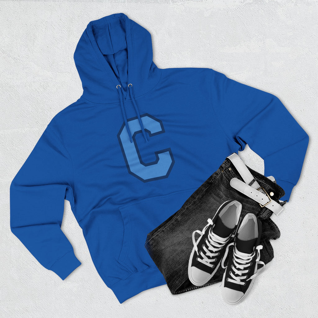The Military School of South Carolina Sweatshirt, vintage style