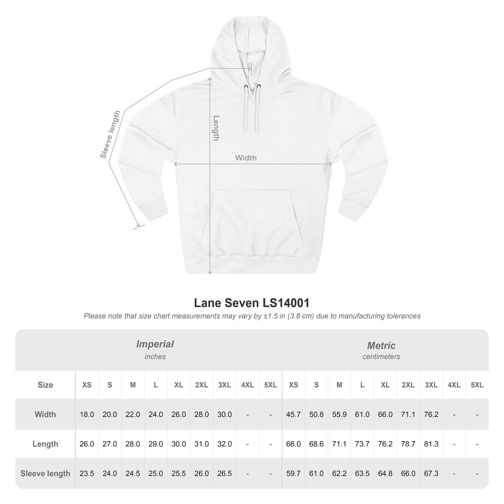The Military School of South Carolina Sweatshirt, vintage style