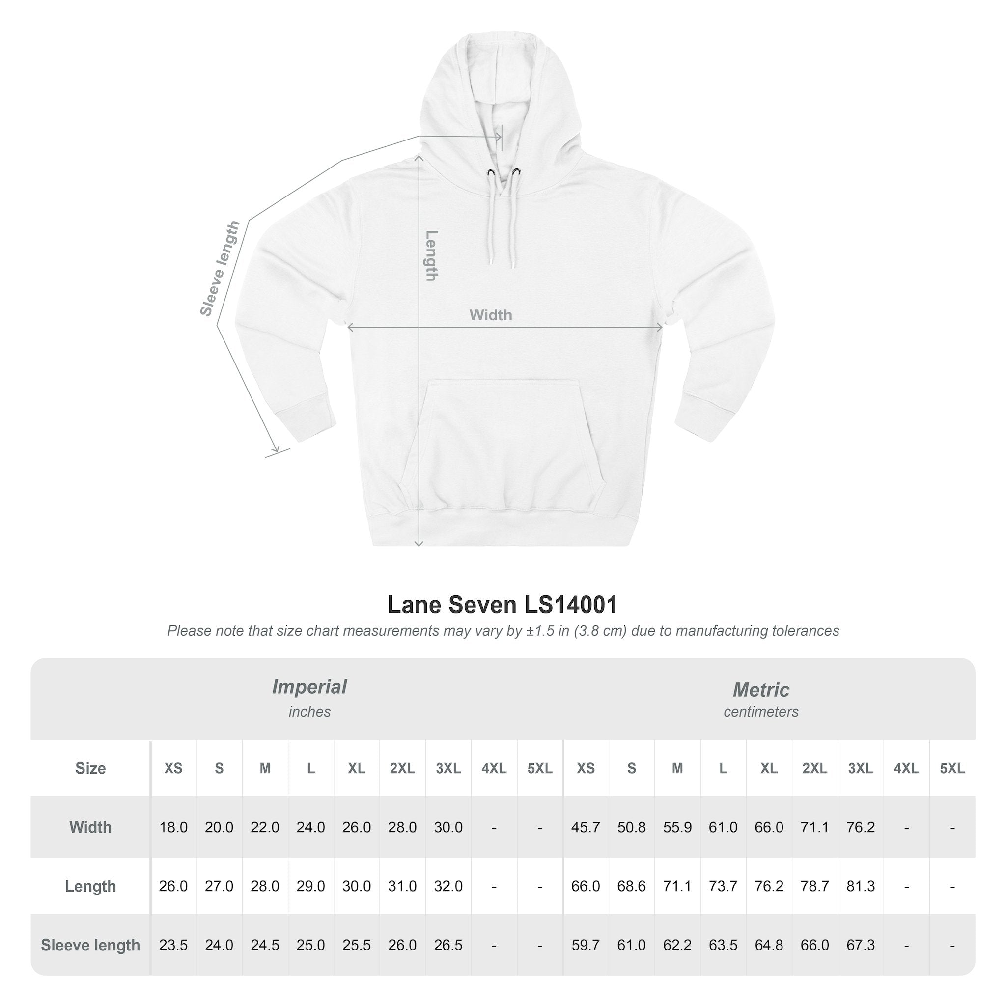The Military School of South Carolina Sweatshirt, vintage style