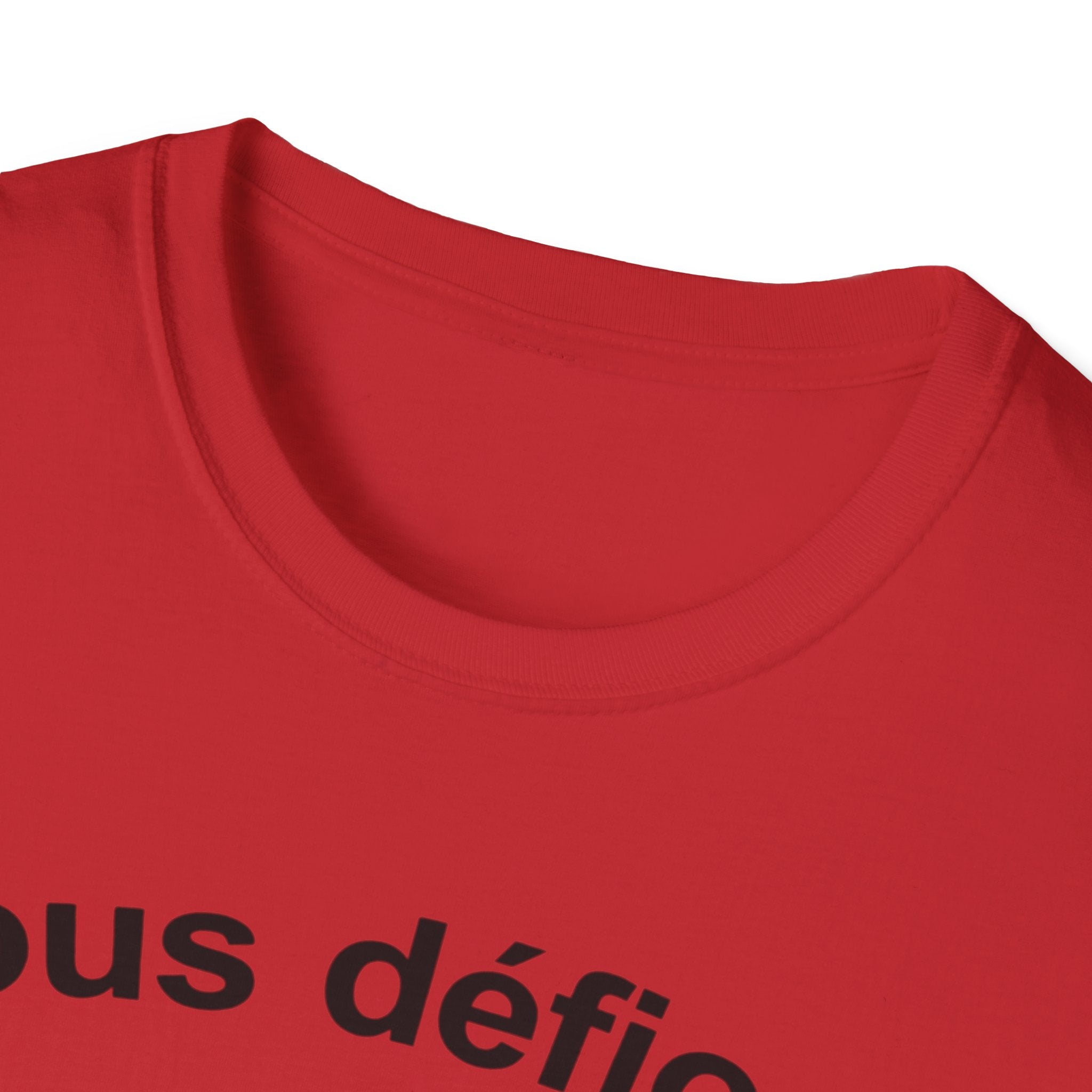WW2 French Resistance Inspired T-Shirt Nous défions with skull and crossed bones