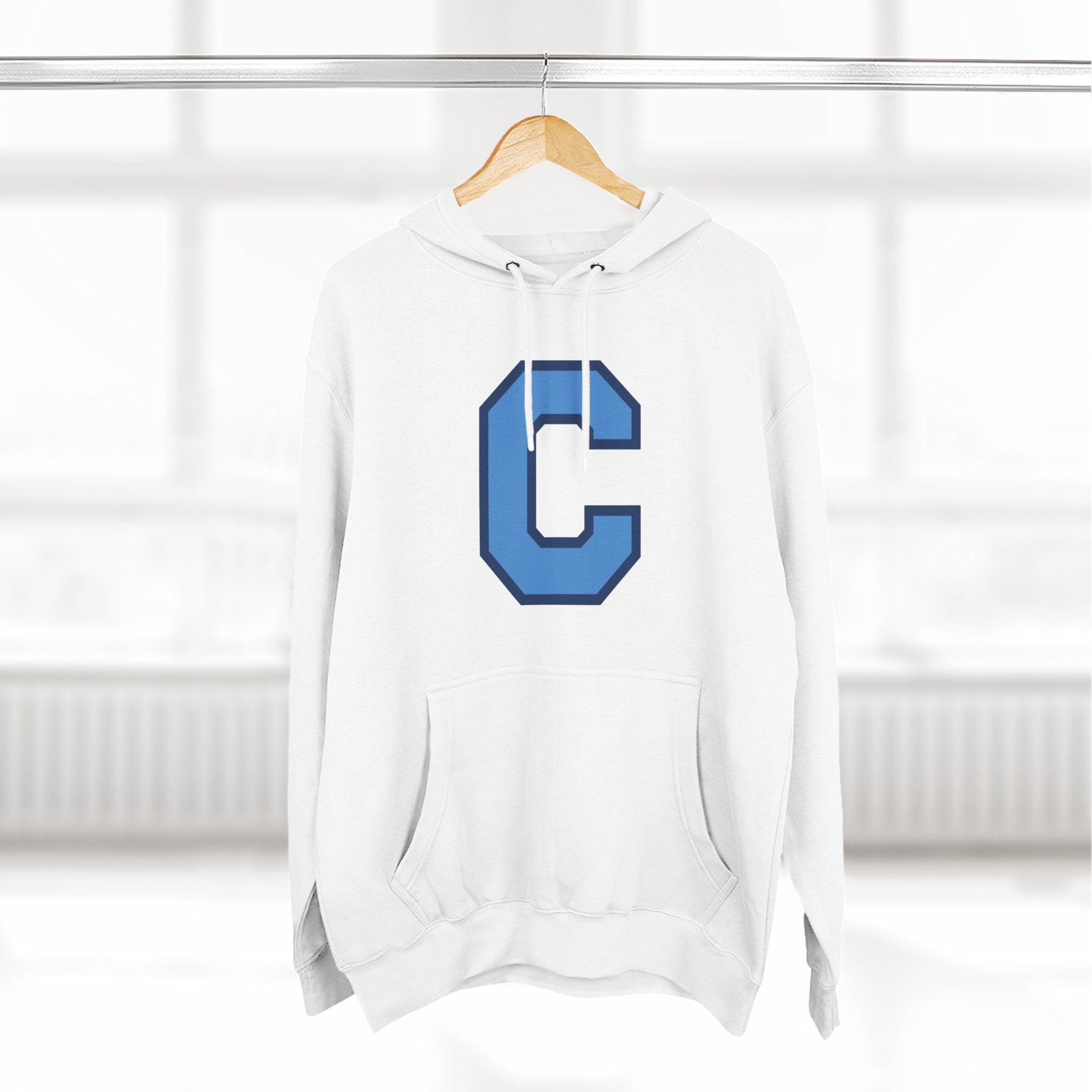 The Military School of South Carolina Sweatshirt, vintage style