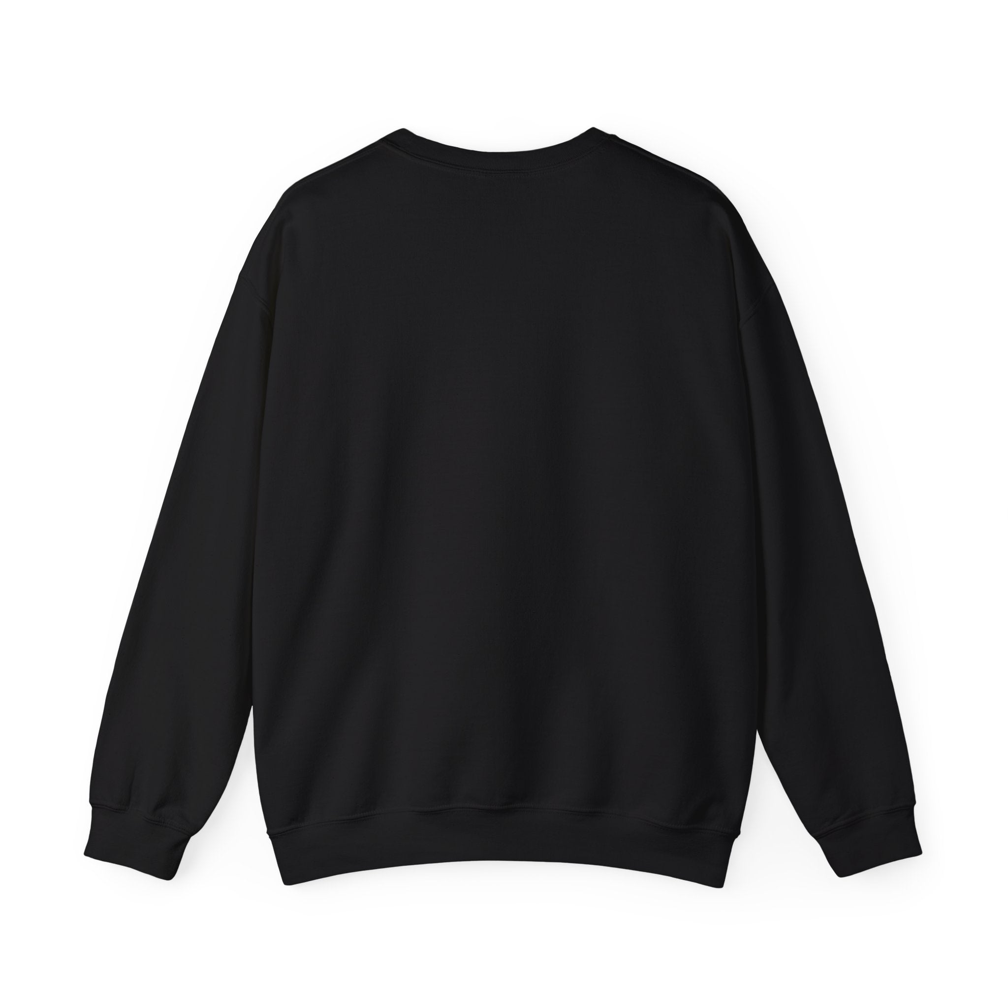 Raison d'Etre Sweatshirt French T-Shirt